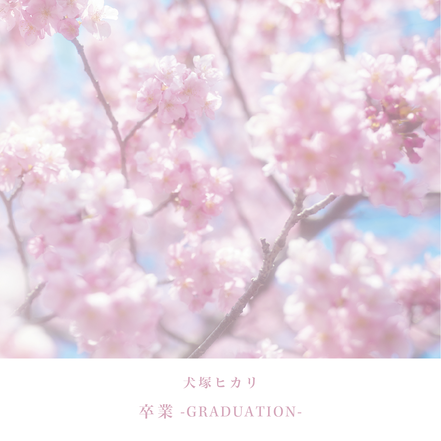 Graduation.png